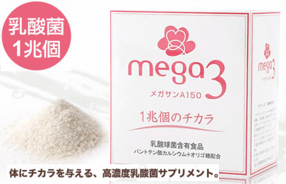 乳酸菌サプリメント【メガサンA150】